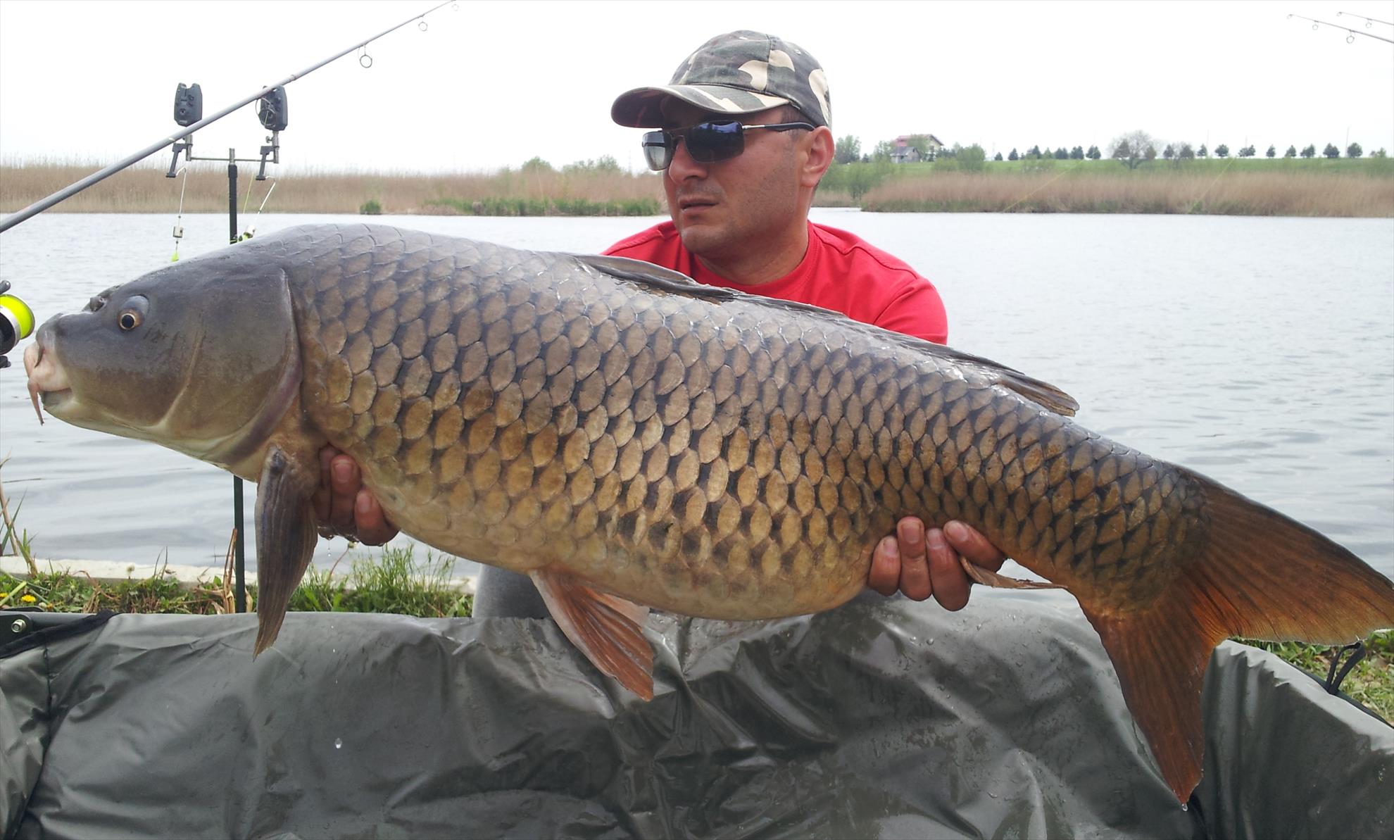 Tancabesti 21 - 22 aprilie 2014 - 20140422123038.jpg